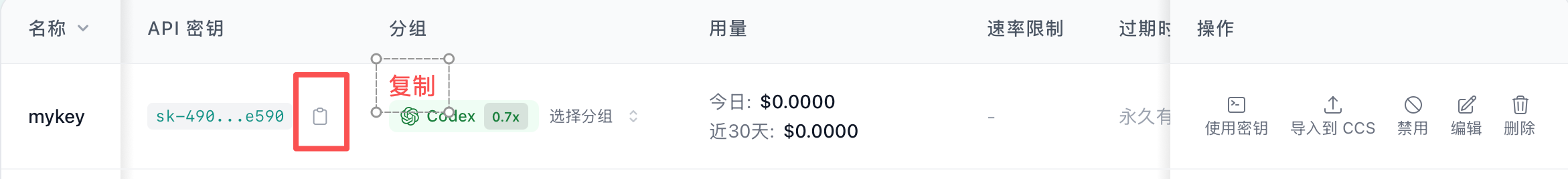 复制 Codex Key