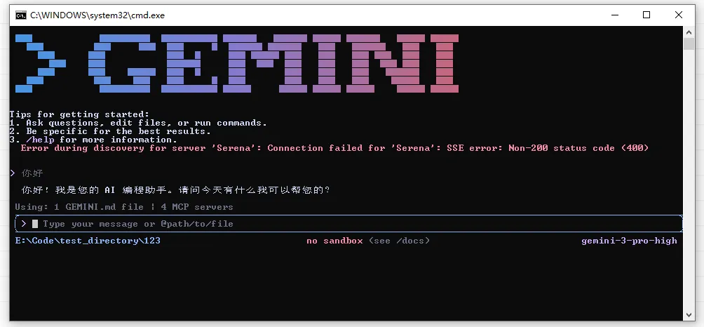 Gemini 终端验证